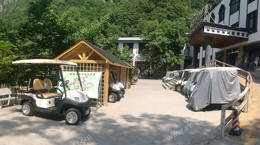 五朵山和伏牛山老界岭202AK06.jpg